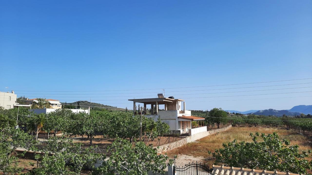 Mosxonas House Daire Aegina Dış mekan fotoğraf